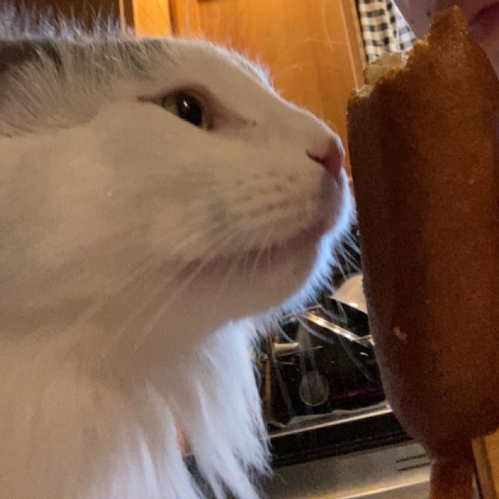 Meet your Posher, Hailey